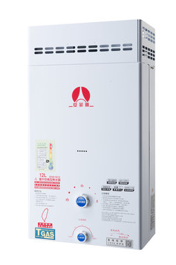 熱水器抗風型RF式12L (液態瓦斯) EHW-3212P-熱水器抗風型